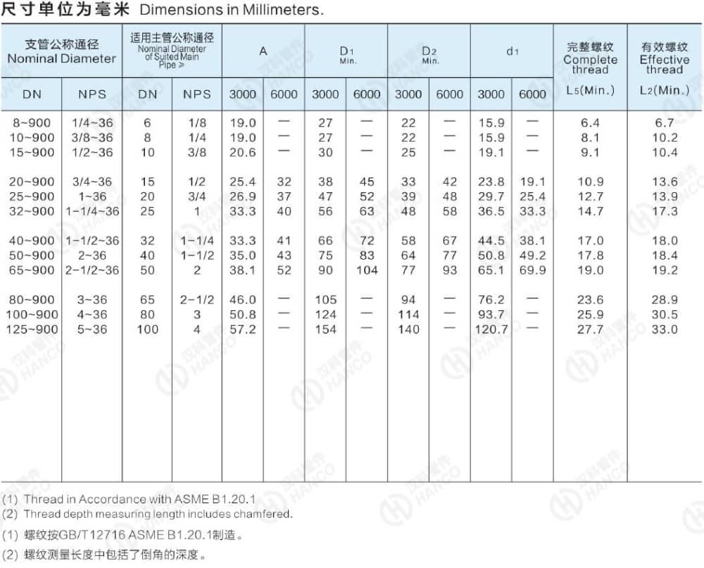 QQ截圖20211116091617